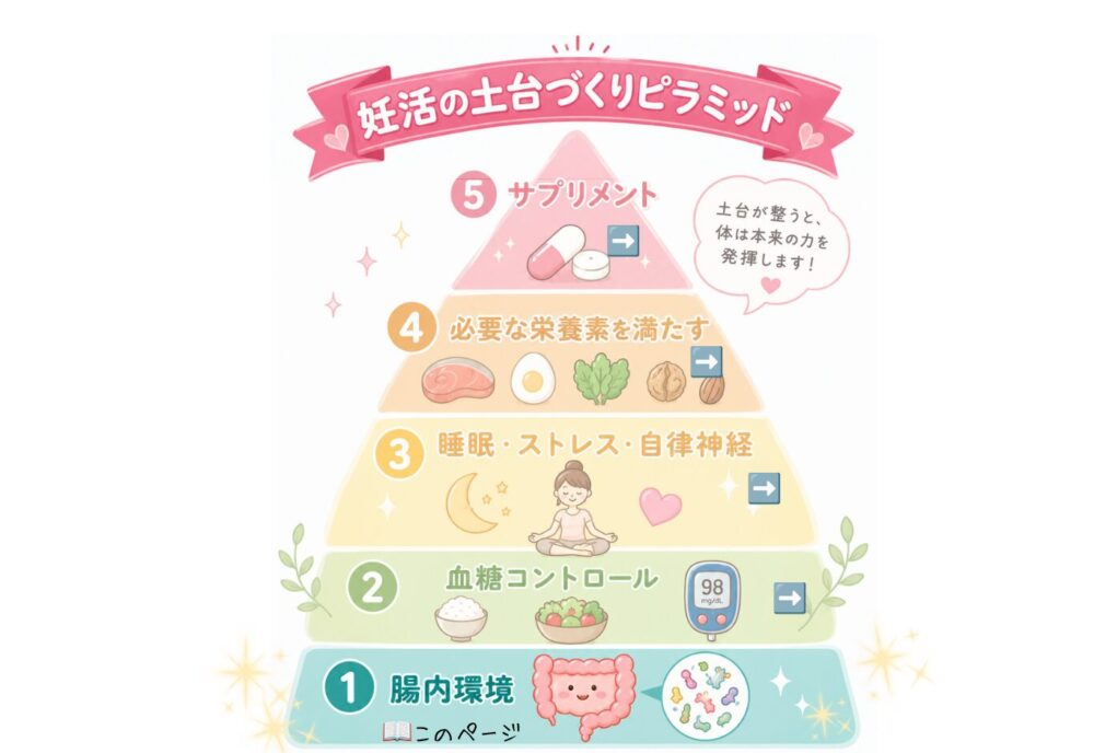 妊活の土台づくりピラミッドをイメージするイラスト
