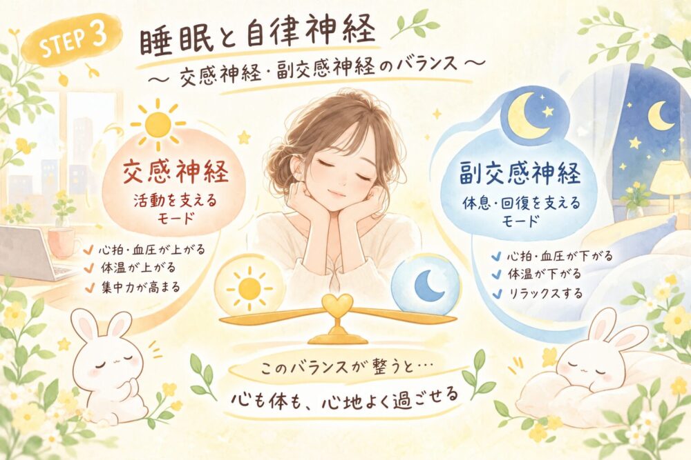 睡眠と自律神経の関係に関するイラスト